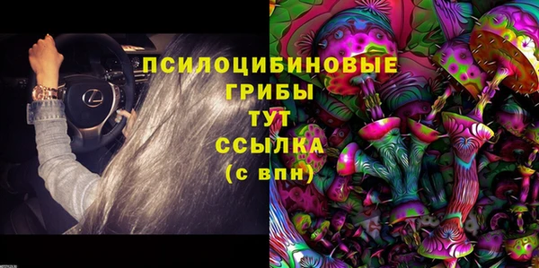 каннабис Арсеньев