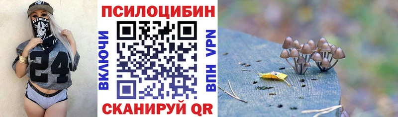 Псилоцибиновые грибы Psilocybe  кракен зеркало  Урус-Мартан 